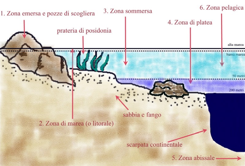 Profilo del fondo marino: suddivisione batimetrica